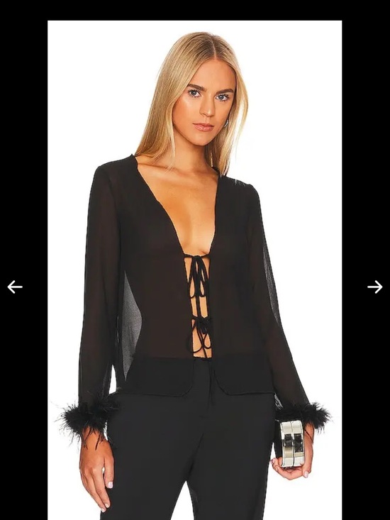 SNDYS. Tops - SNDYS. Black Sheer Blouse